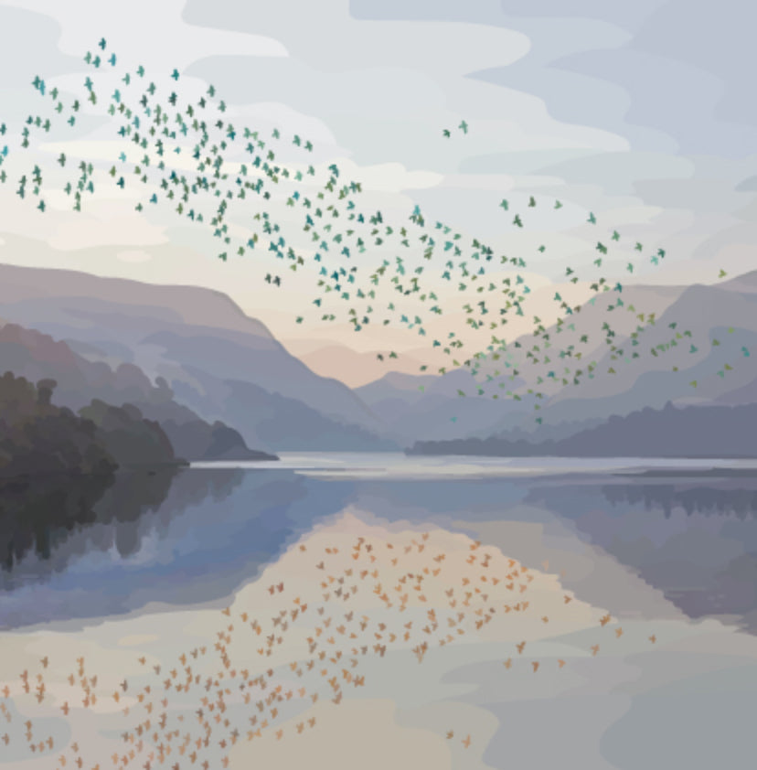 Starling Murmuration – Everyone's Designs